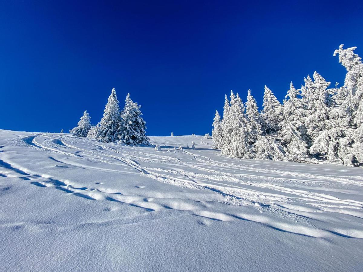 Ferienwohnungen Am Skilift Herrischried 외부 사진
