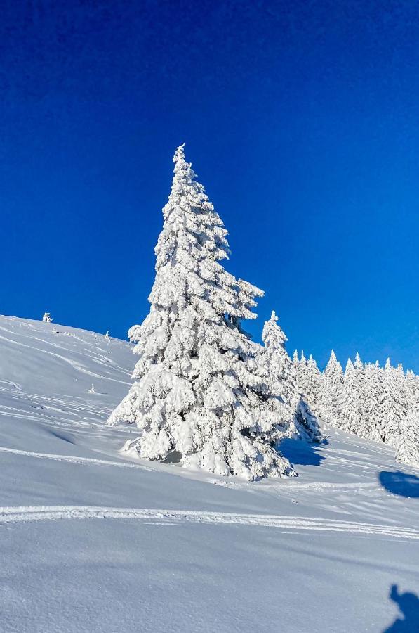 Ferienwohnungen Am Skilift Herrischried 외부 사진