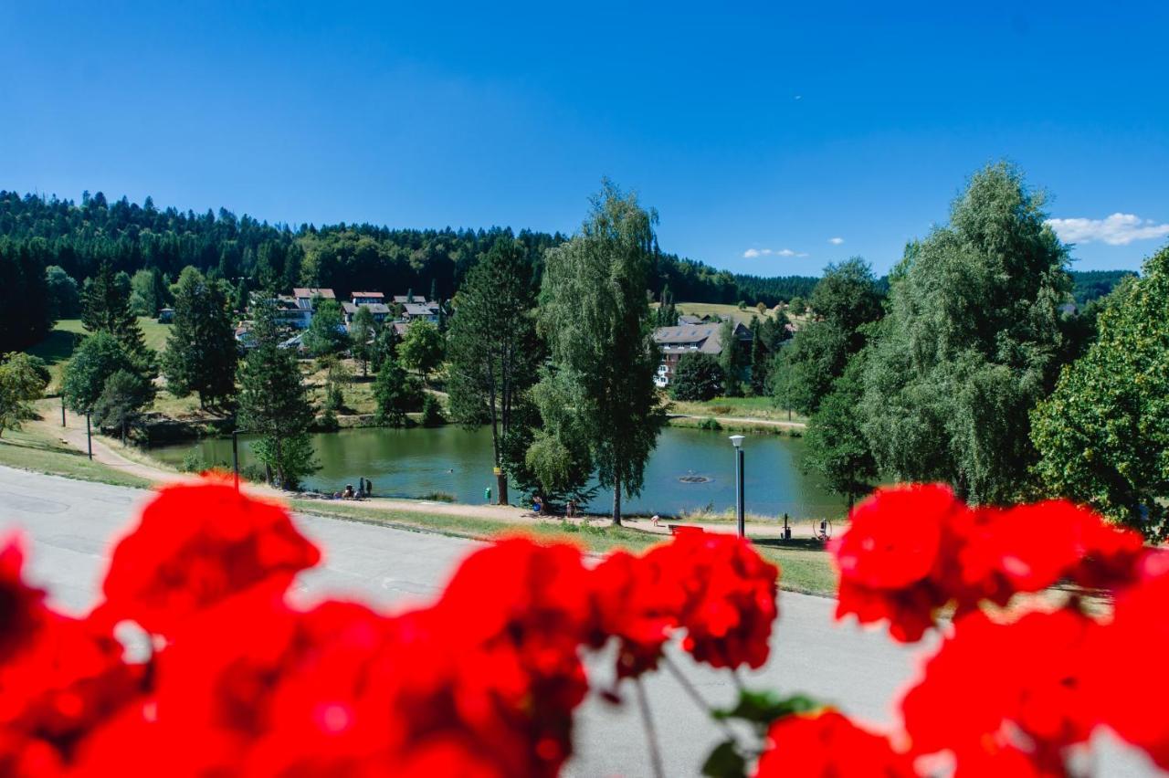 Ferienwohnungen Am Skilift Herrischried 외부 사진