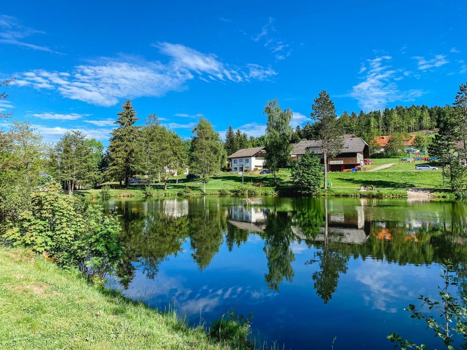 Ferienwohnungen Am Skilift Herrischried 외부 사진