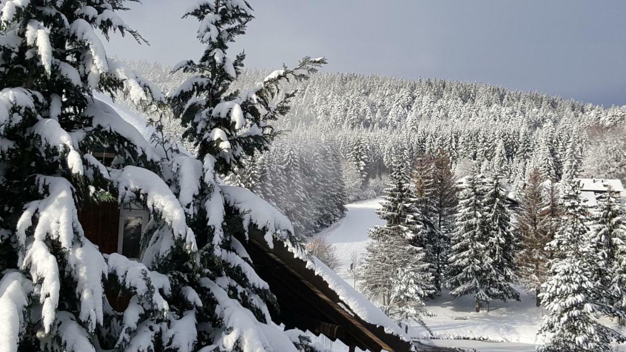 Ferienwohnungen Am Skilift Herrischried 외부 사진